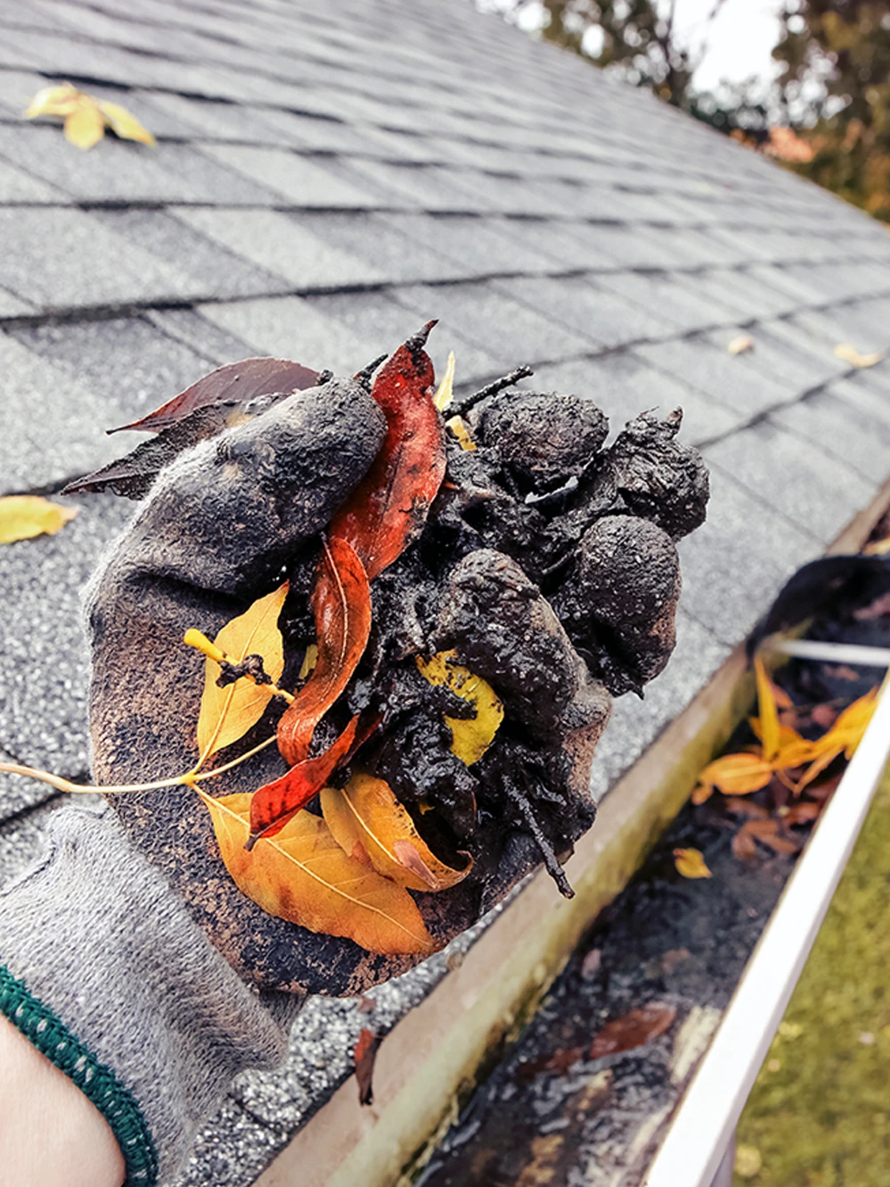 gutter technician with handfull of leaves